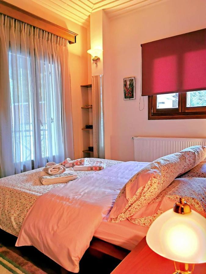 Villa Ευορέων Pertouli Bagian luar foto